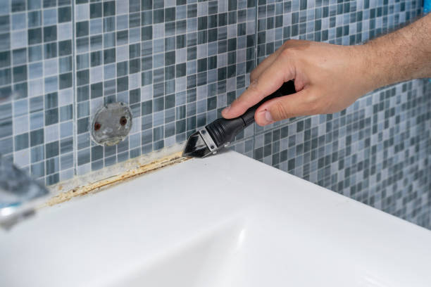 Best Mold Remediation  in Buffalo, MO