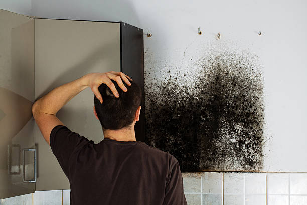 Water Damage Restoration in Buffalo, MO
